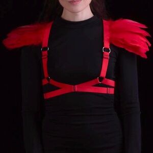 YES!!  Red Feather Harness